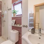 Apartman Triplex- Center